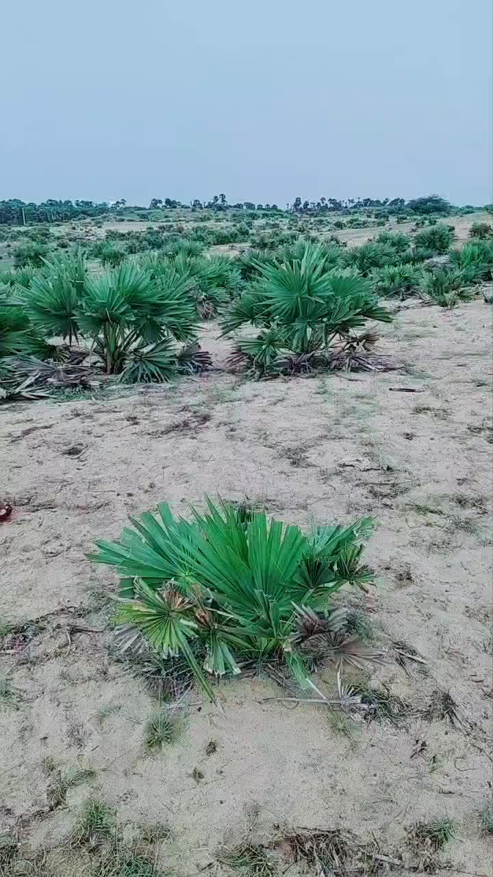 @karthikkk603