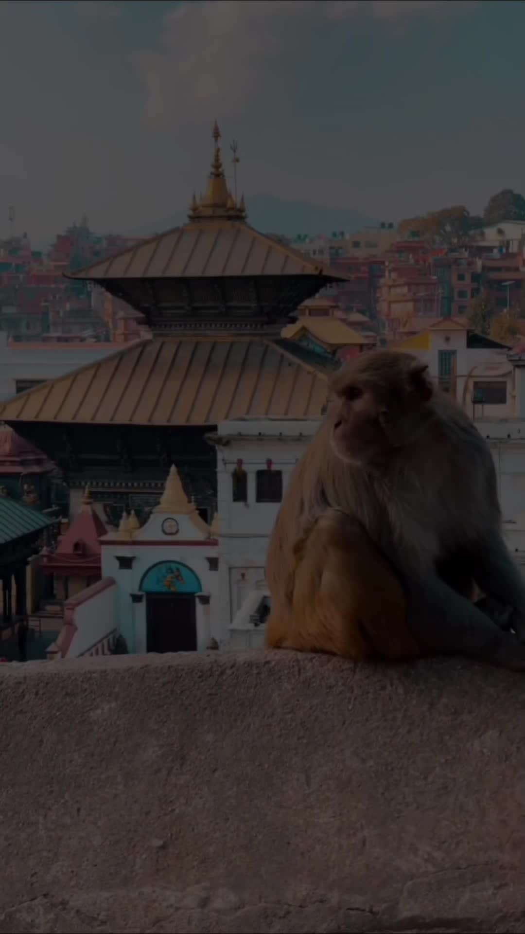@महादेव ♥️