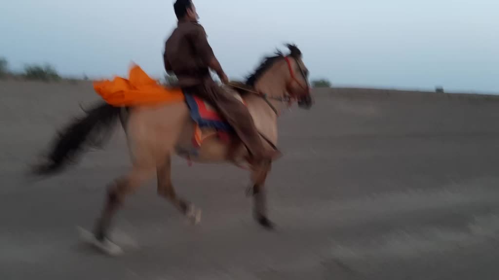 @Dhanrajsinh Bhadiyad