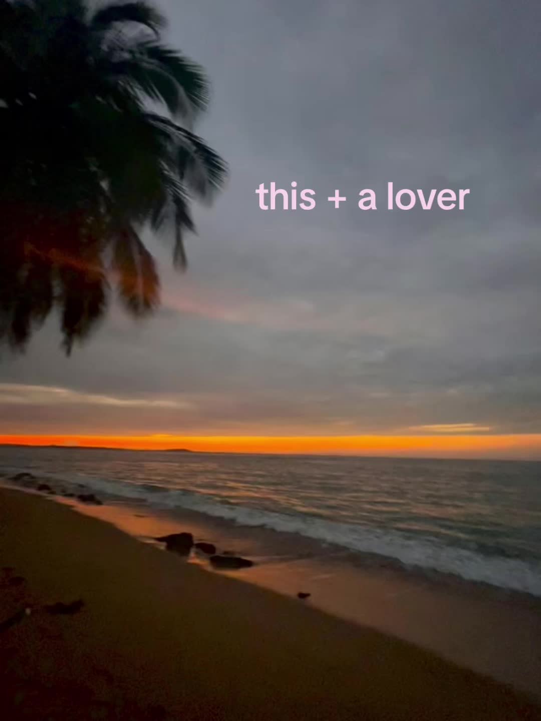 @ari