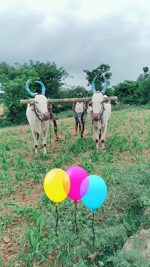 @Saranppa M Saranppa