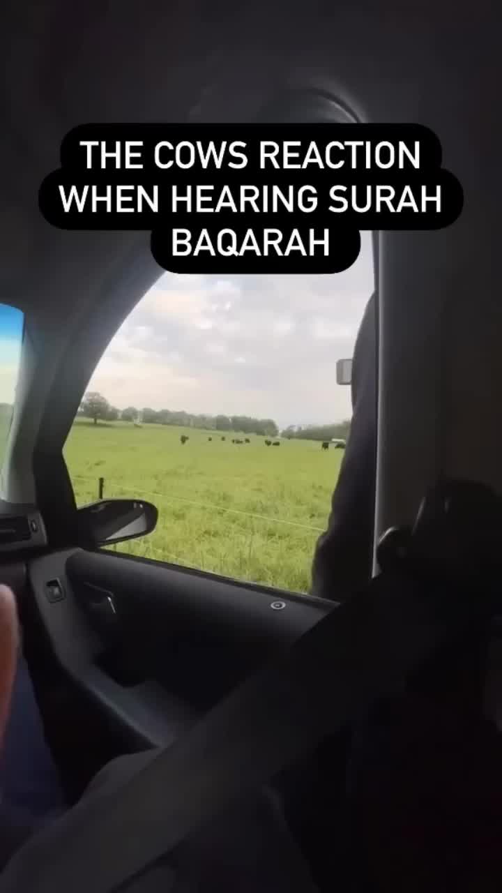 @Umar