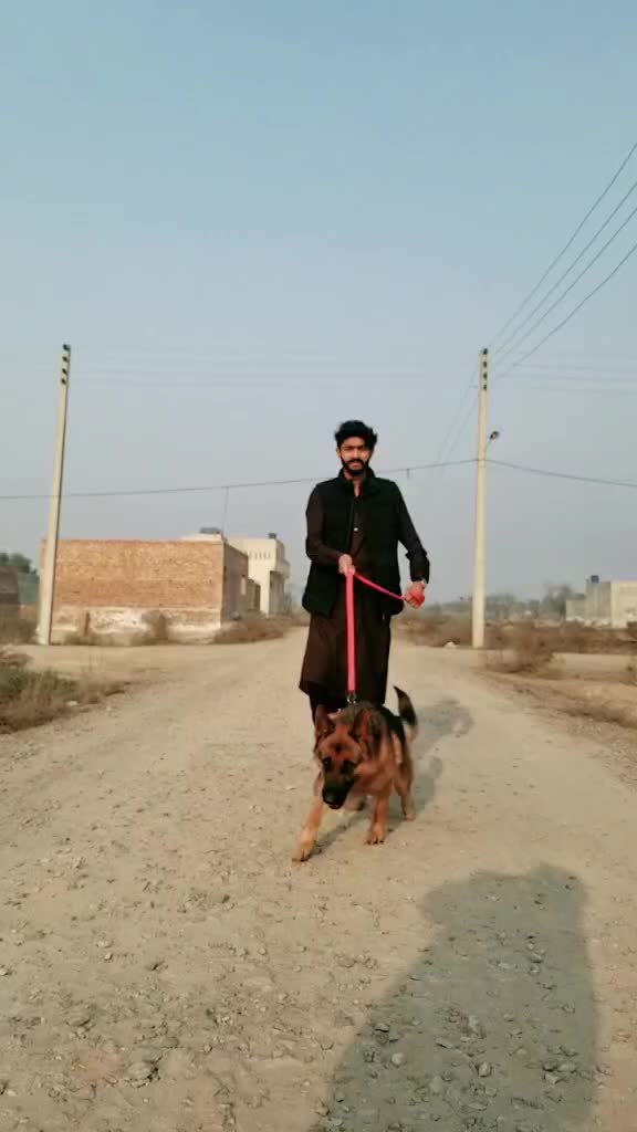 @Ali SAB