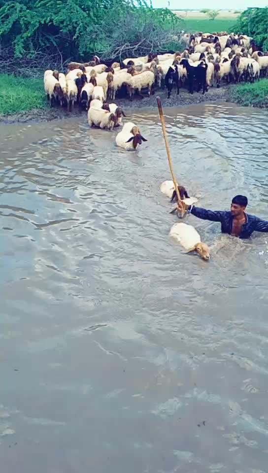 @ખીમાનાથા ખીમાનાથા