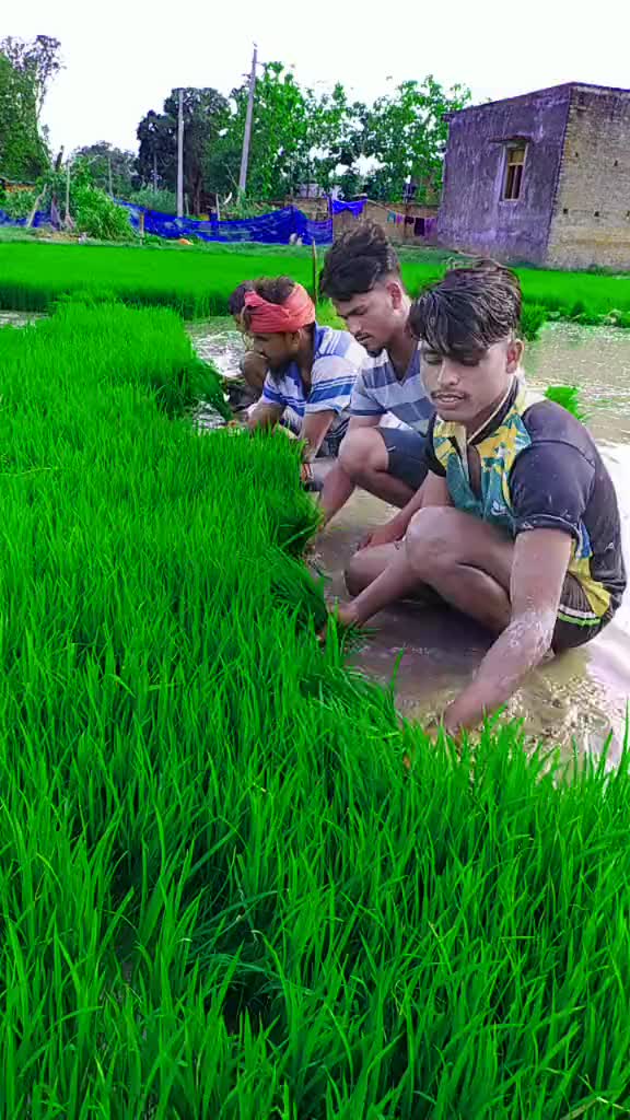 @KumarManoj