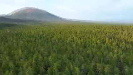 @�� ��