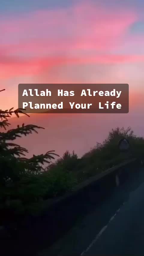 @owais1707