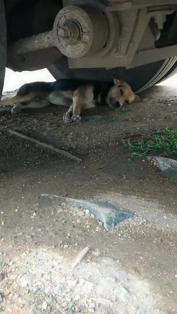 @ಶ್ರೀನಿವಾಸ್💗