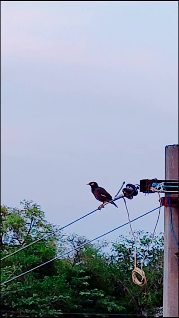 @Mathi Raju