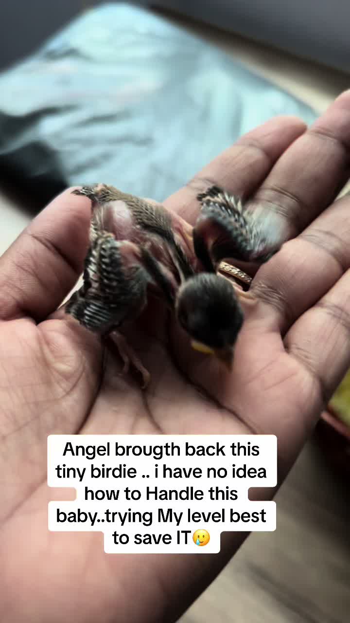 @Angel