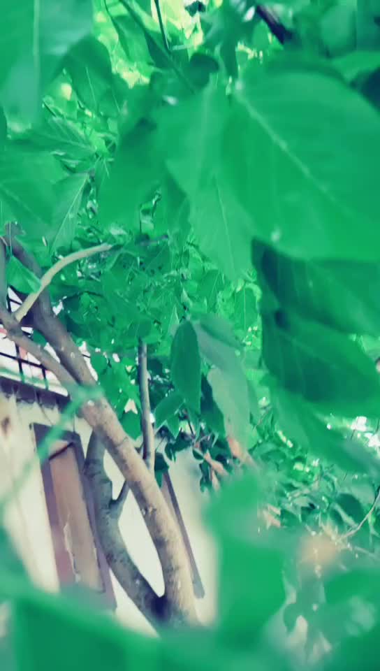 @009 DHRUVA 😎😎
