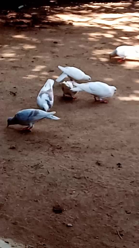 @VSK KARTHIK