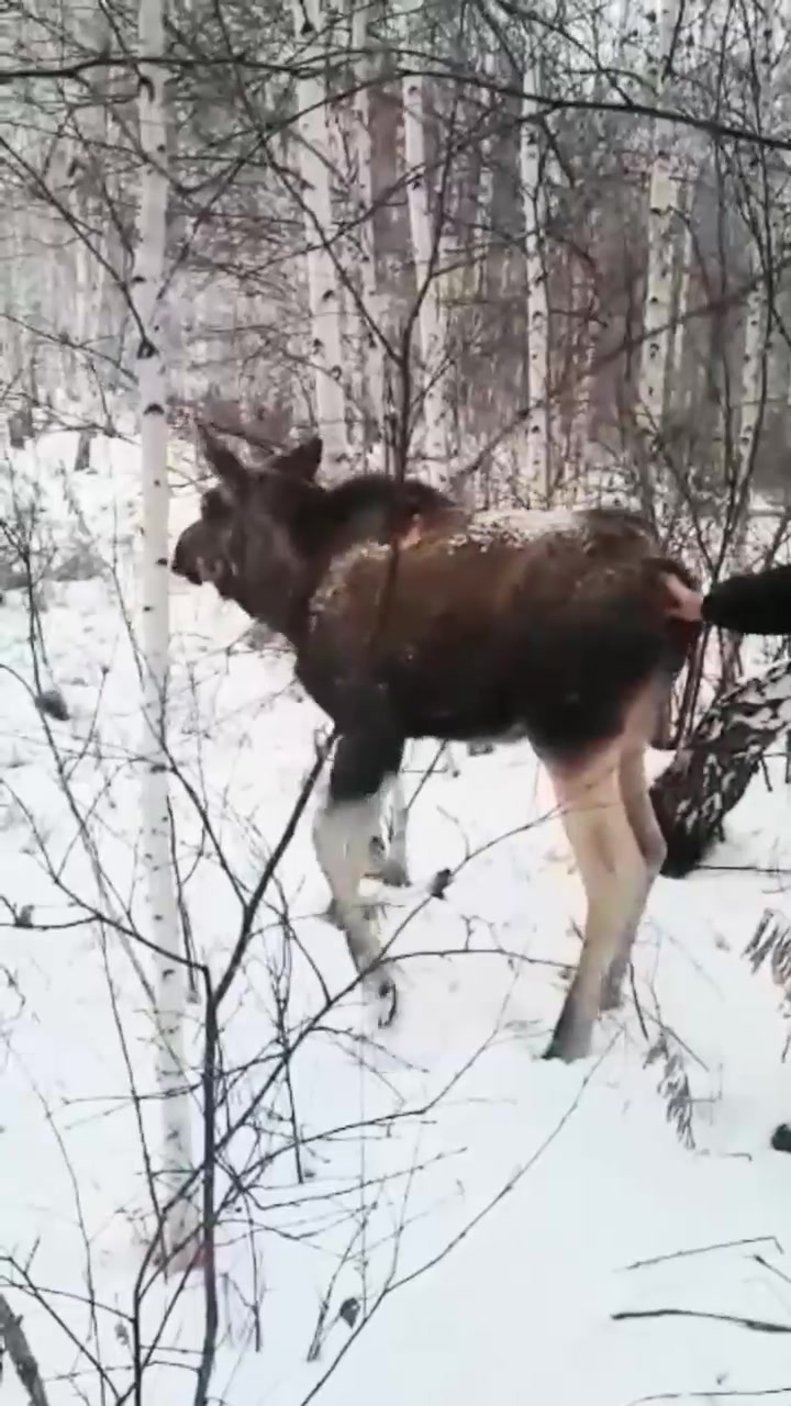 @Евгений Evgeniy