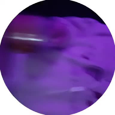 @кику.