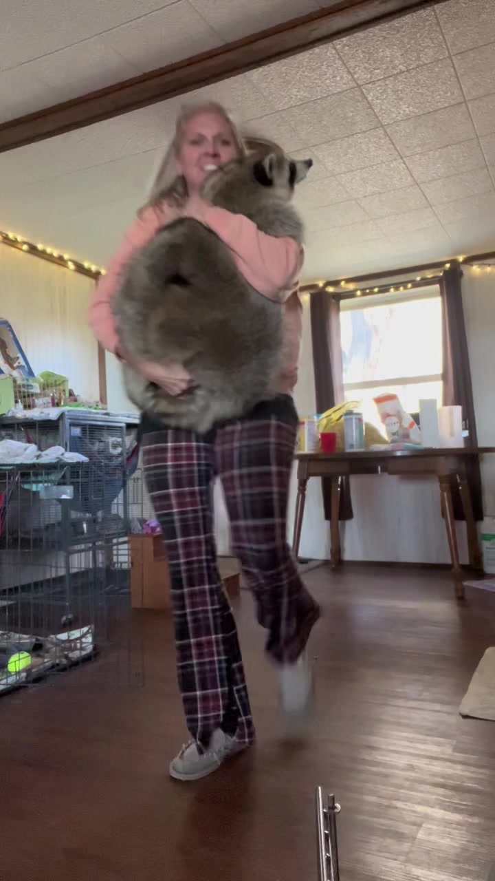 @BushBabyTheRaccoon