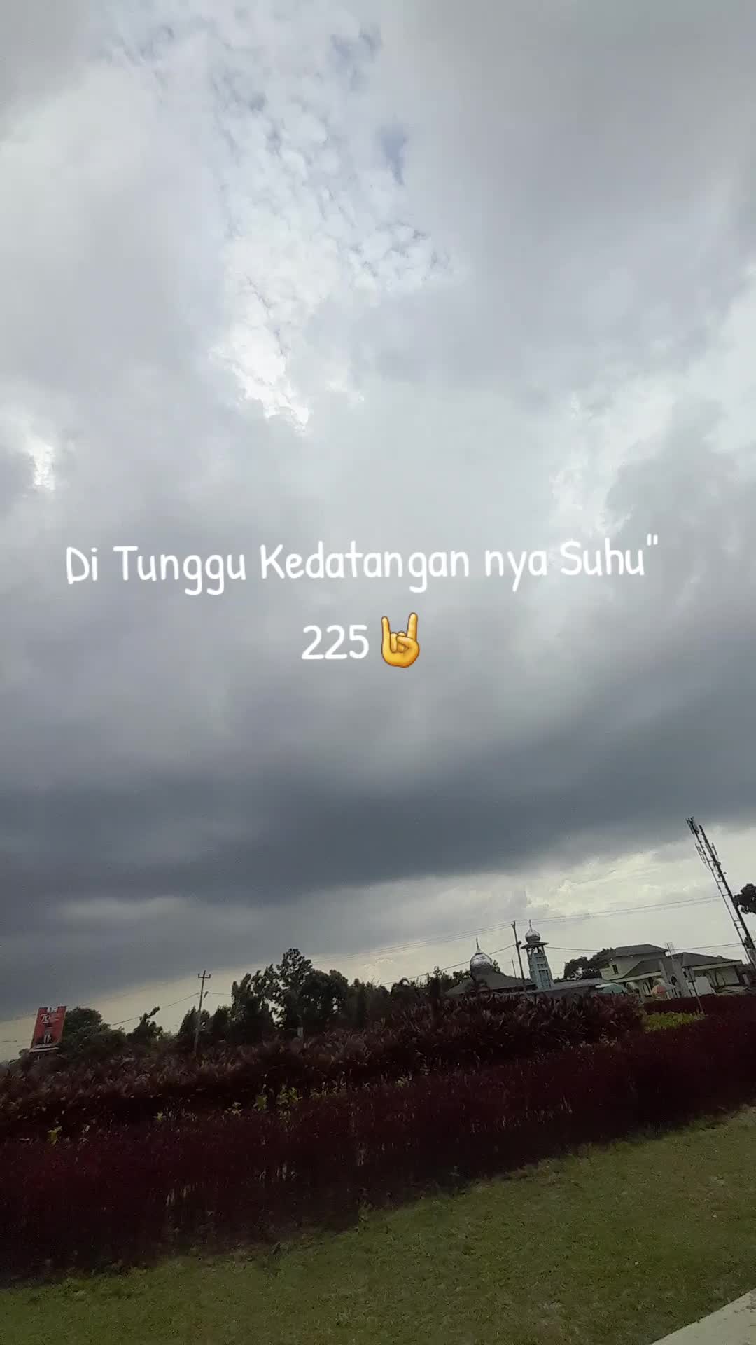 @FIRD🅰️US 225🦂