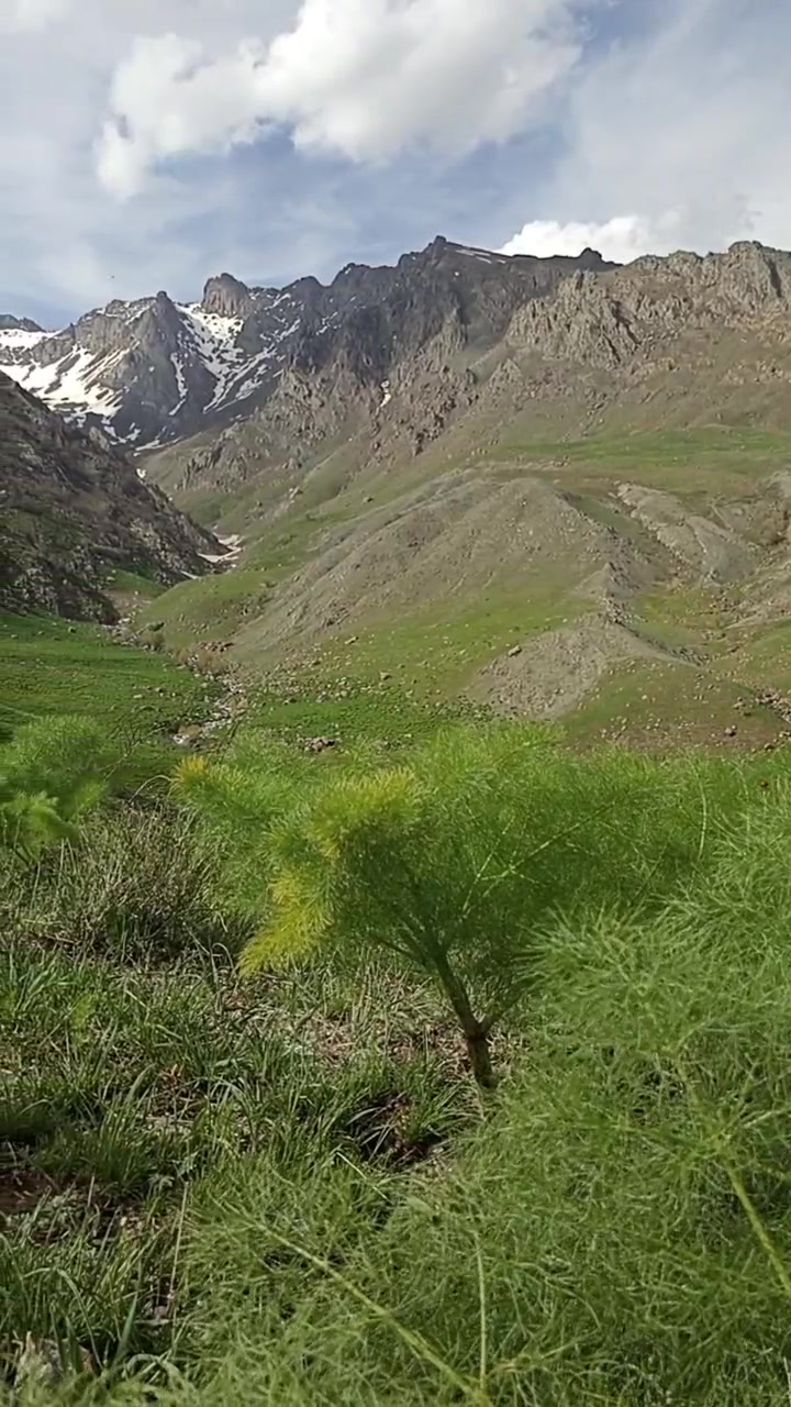@Havzullah şen