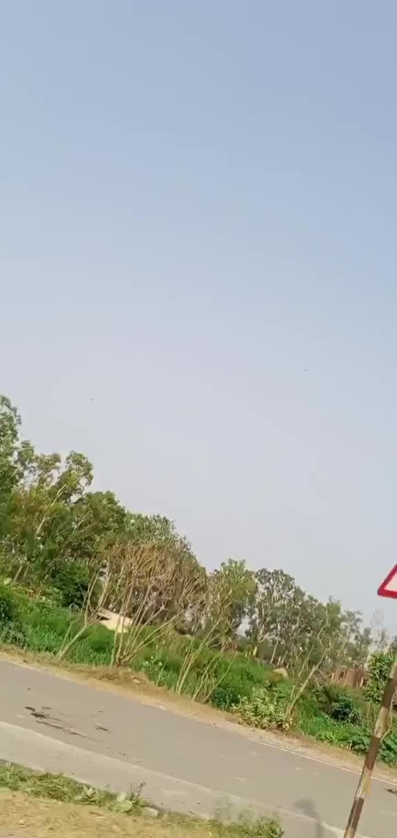 @malhotra7862