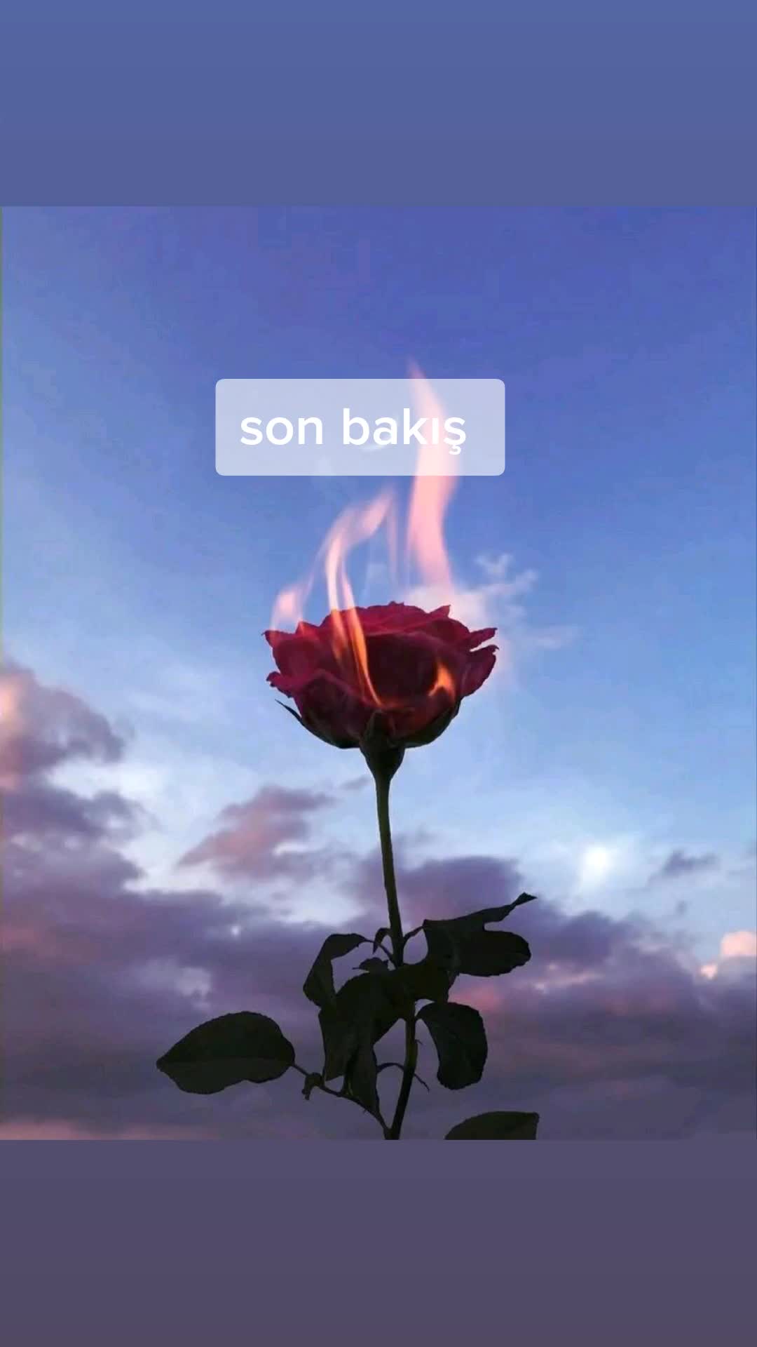 @hayat_buysa_üstü_ kalsın.