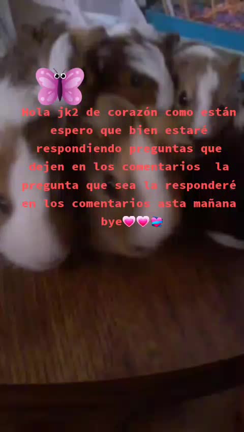 @Marisol Radilla
