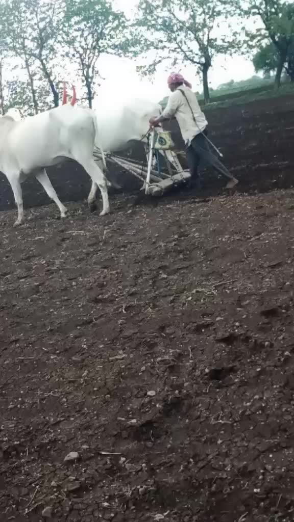 @सचिन सुरवसे