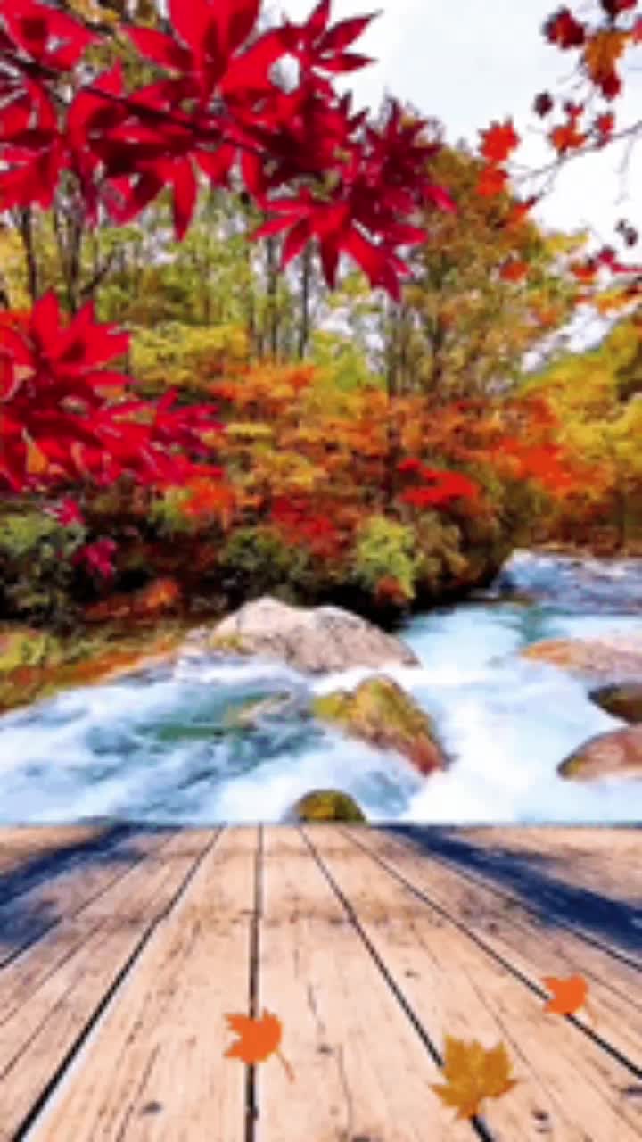 @Usha Usha