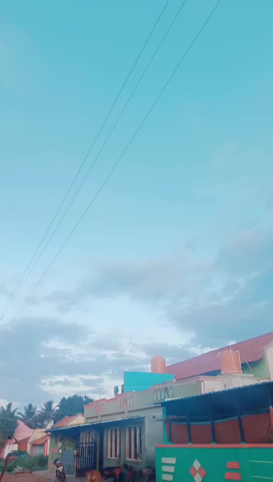 @sheelamahi