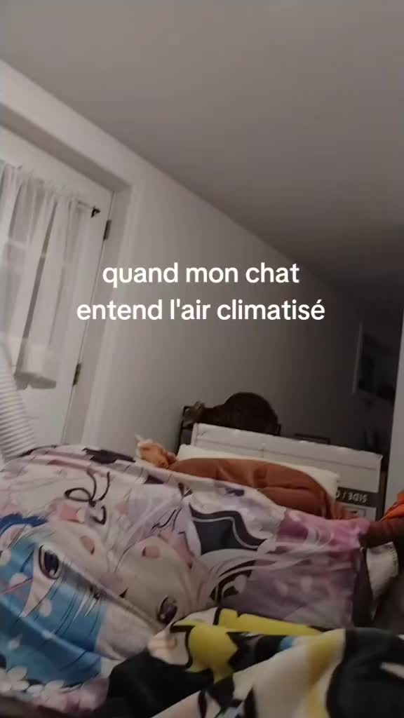 @RoxeraQc