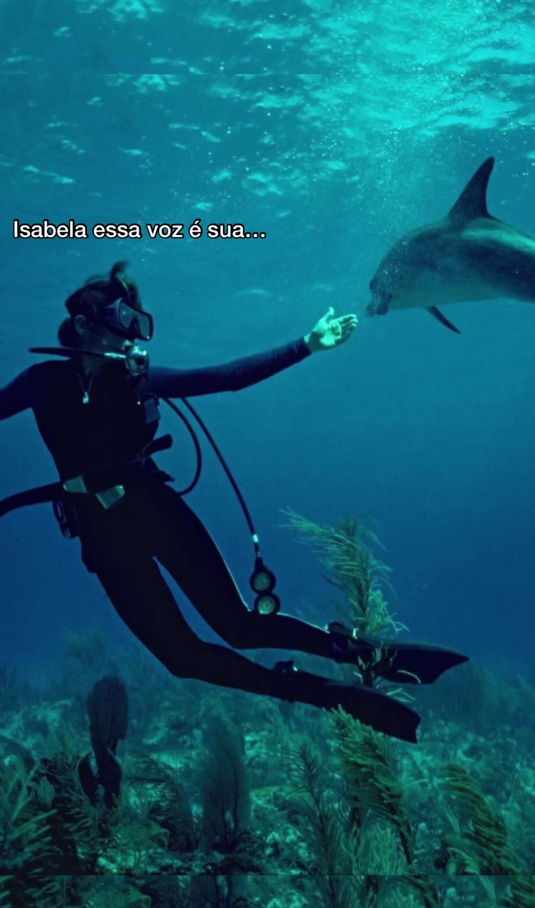 @Isabela Silva 🇻🇦