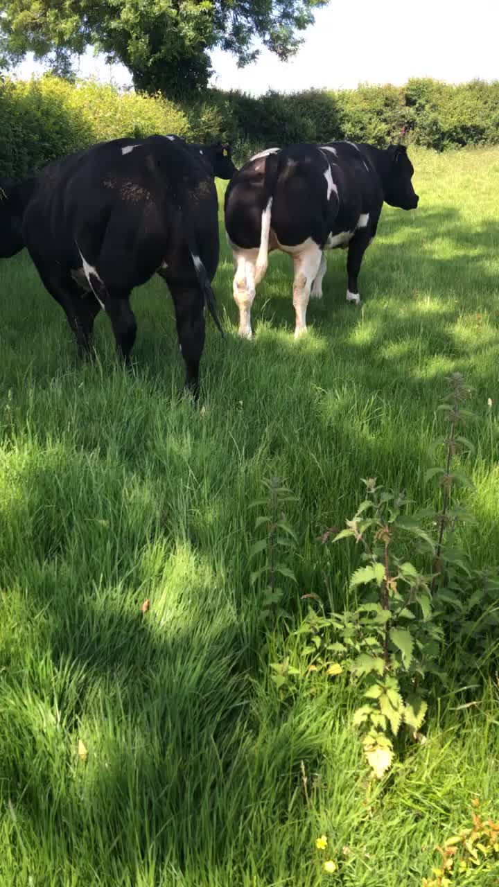@FARMvisor