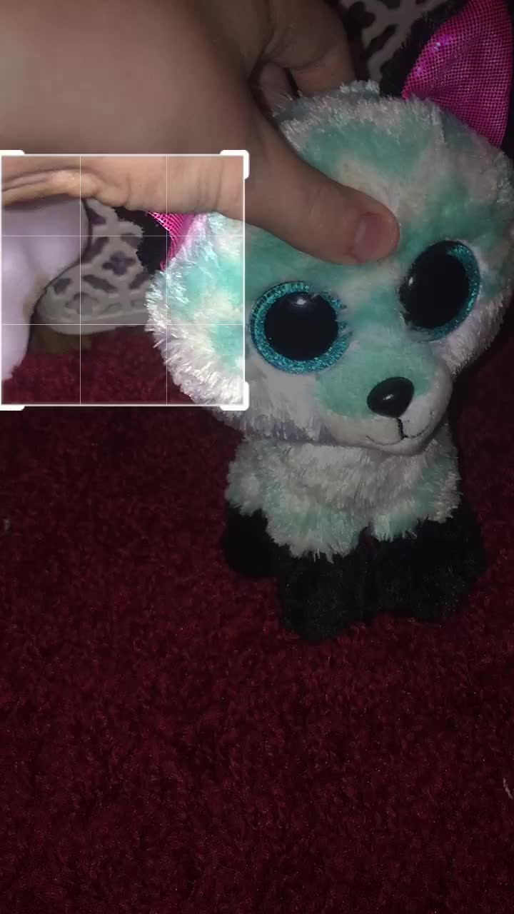 @Beanie boo acc!