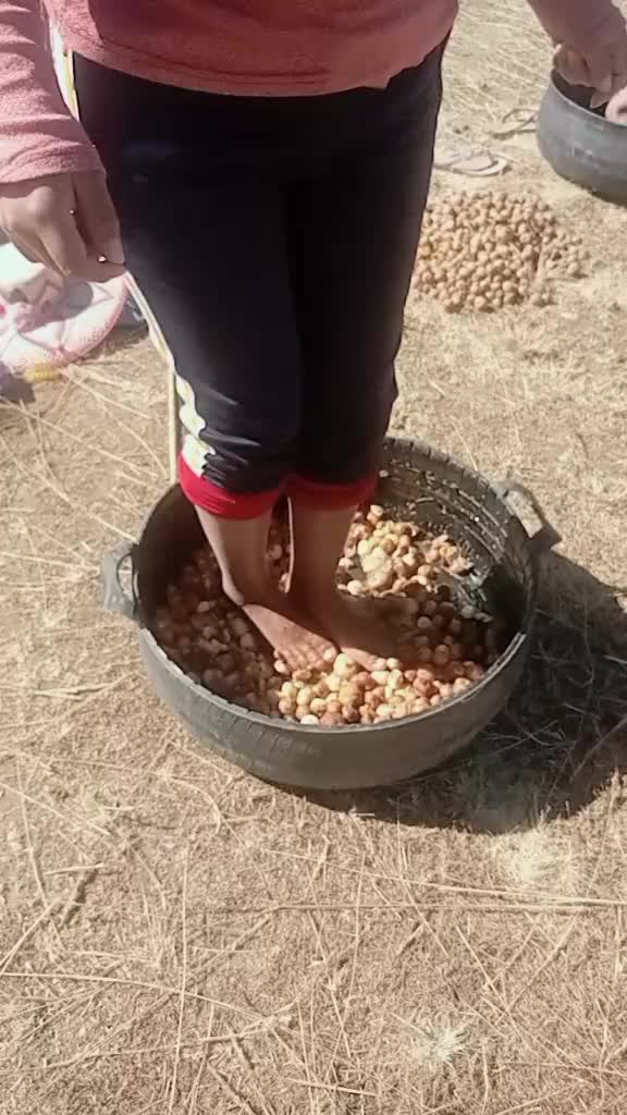 @roxanarojas664