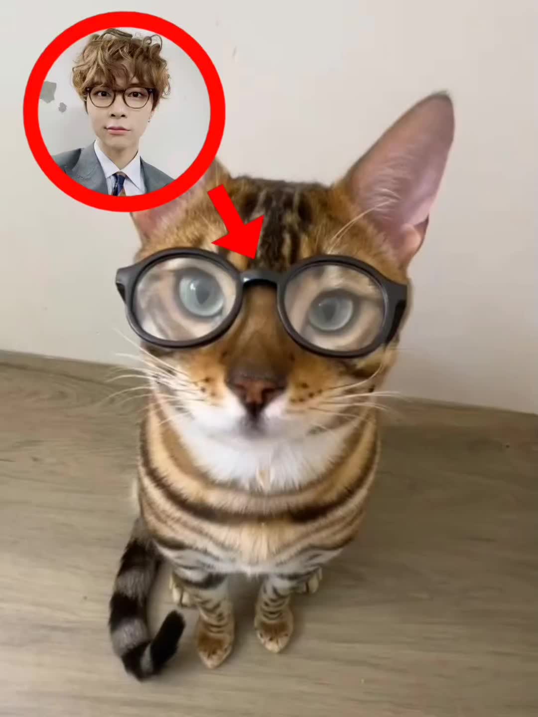 @nuonuo