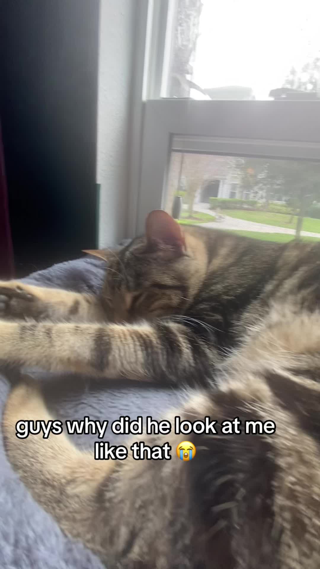 @lex