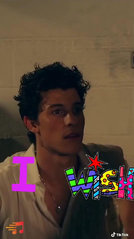 @Shawn Mendes 2020