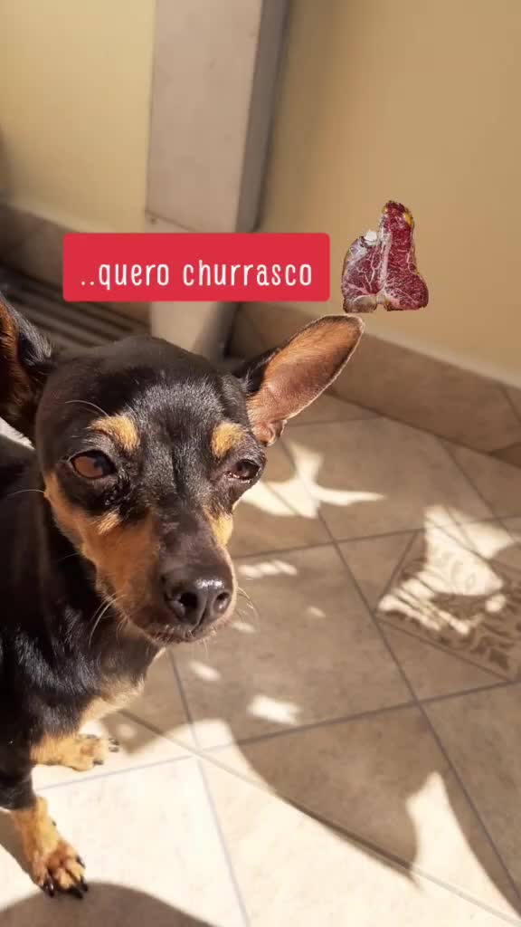 @NarutoCalopsita_Pets