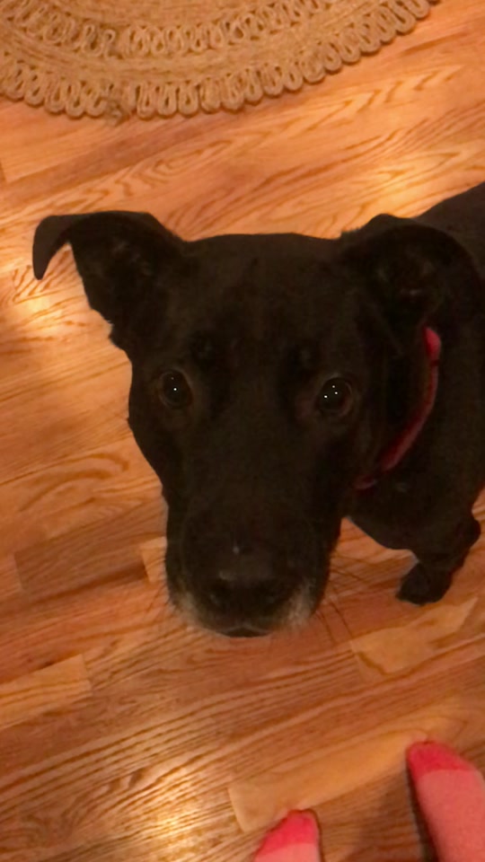 @Cöäl🐶