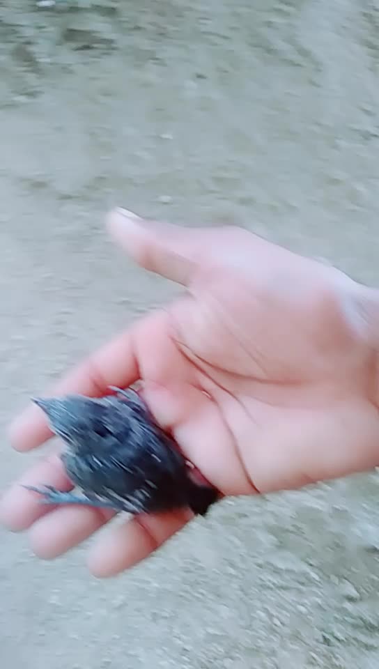 @katkam_naveen🇮🇳