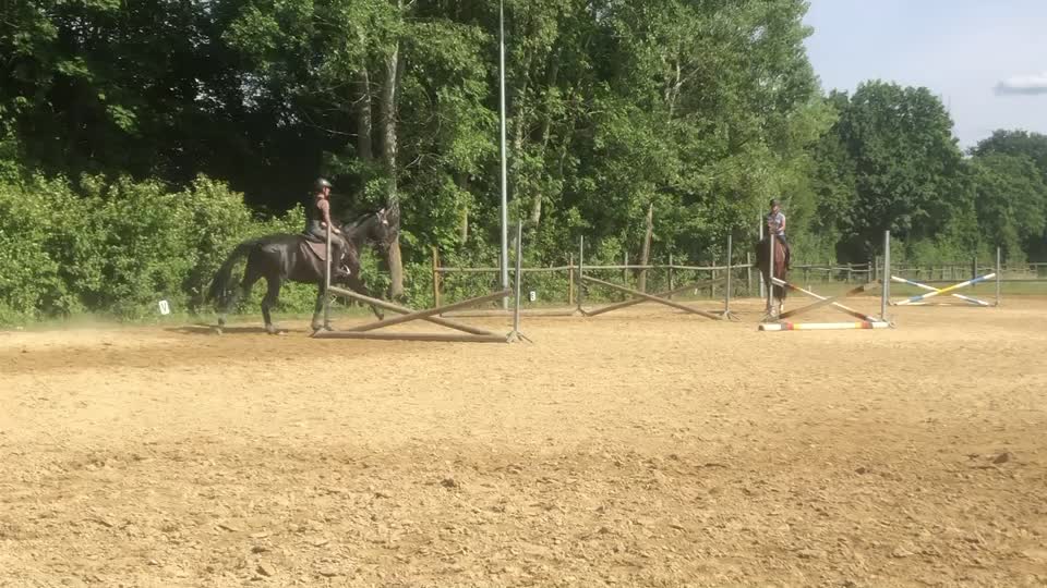 @My.soulhorse❤️🥺✌🏻