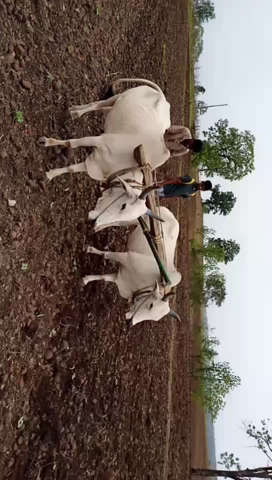 @rathodlakhannaik