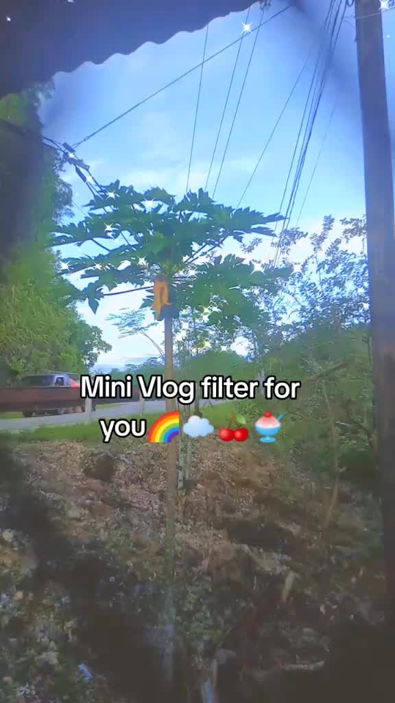 @Jazmine's Vlogs=)✨🌻