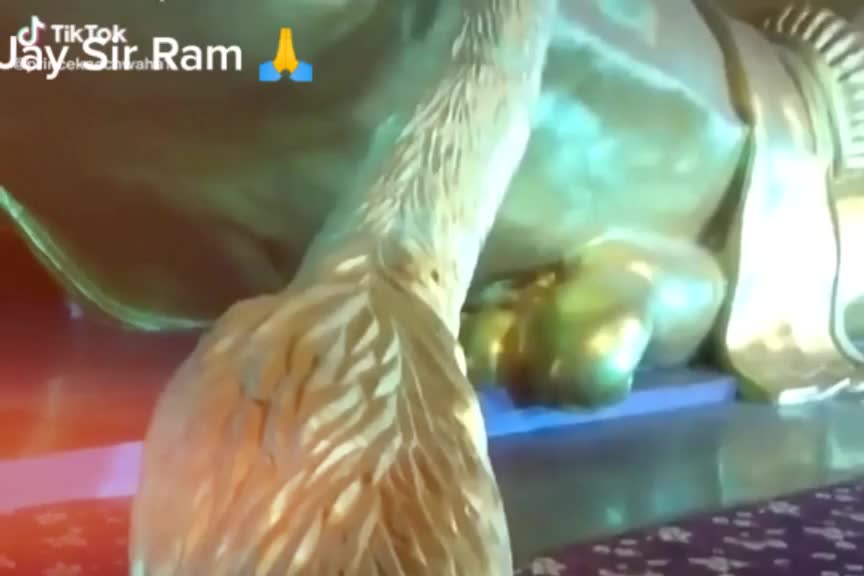@jay sir Ram