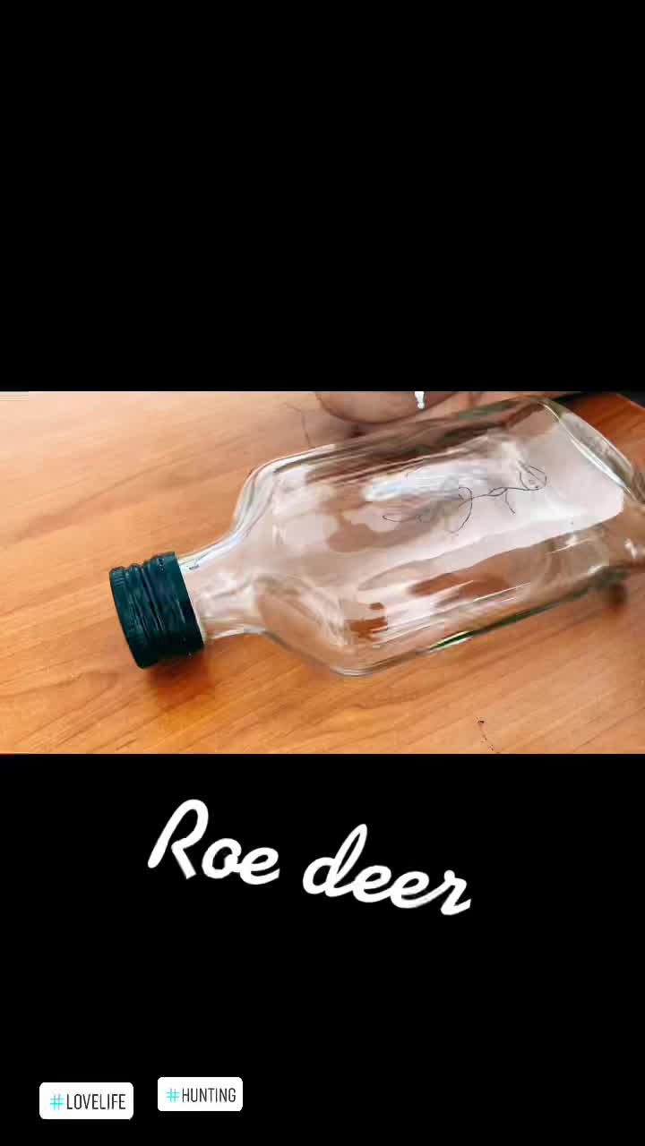 @cile2410