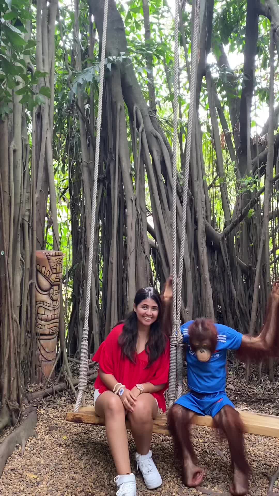 @sonaaaaaa_0