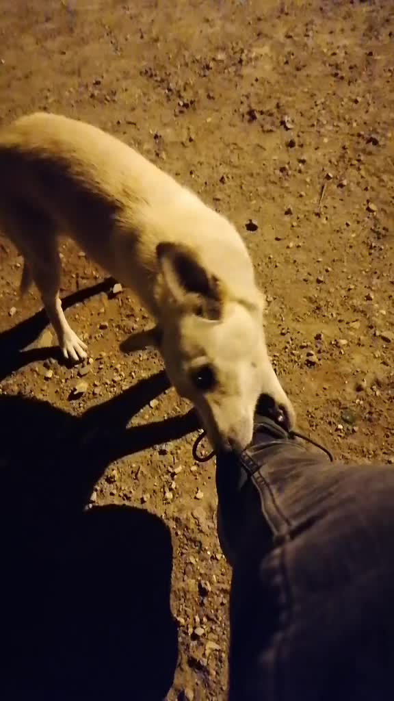 @FurkanK&ouml;se28