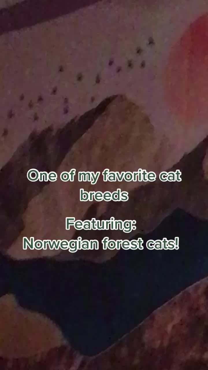 @mousemaniac