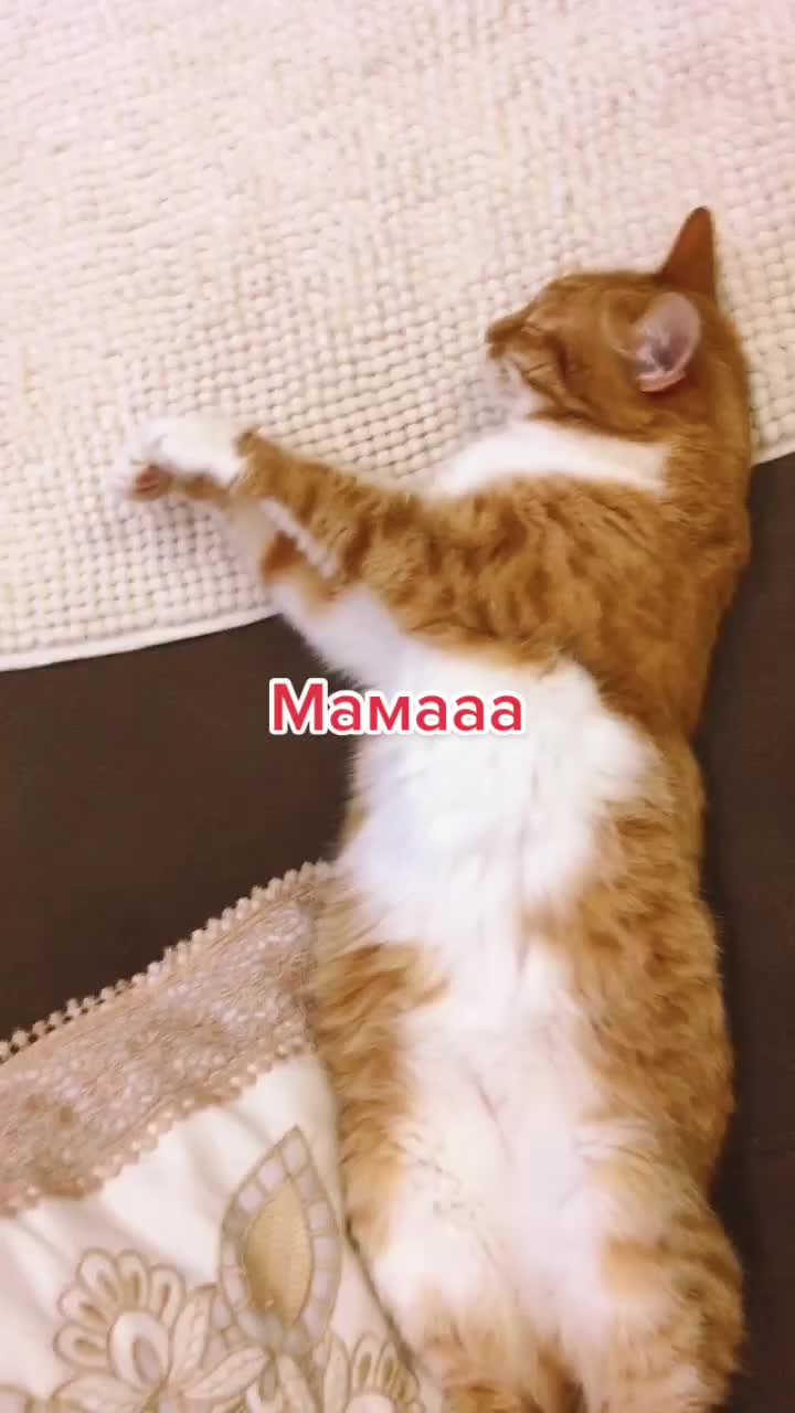 @Татьяна