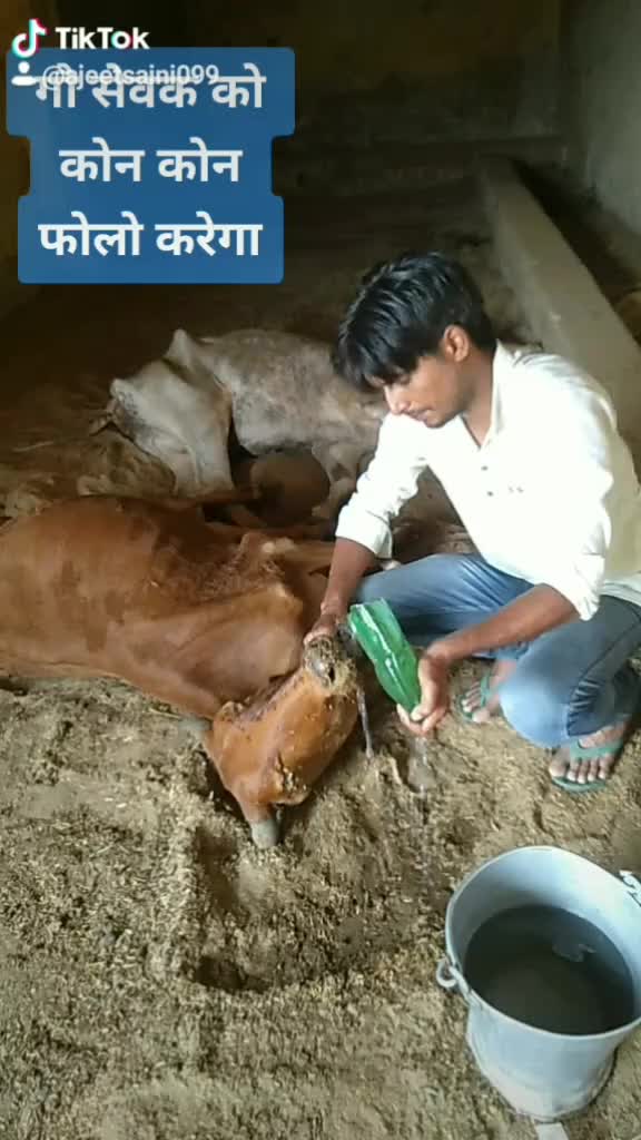 @sainiajeet390