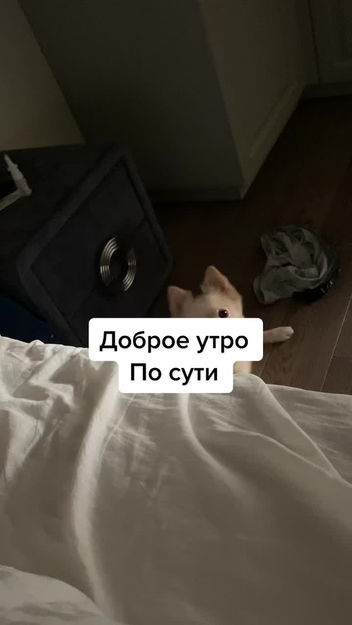 @user54526531412