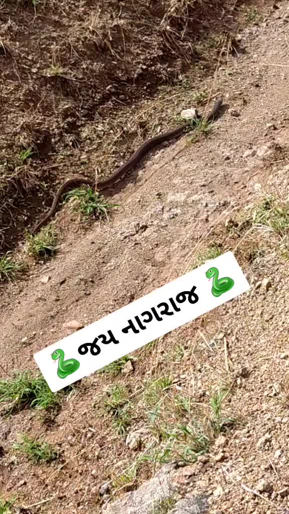 @kilu patel RAJKOT
